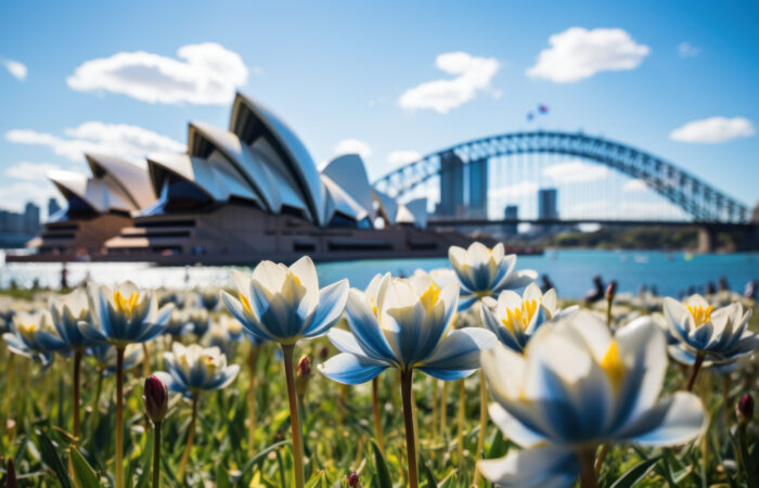 Australian Universities Alumni Networks