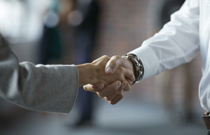 What are the options for skilled migration to Australia as a software developer/IT professional