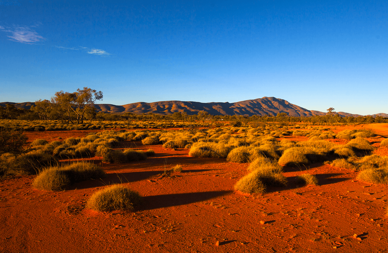 Unique Australian ecosystems