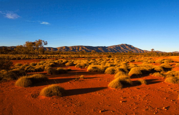 Unique Australian ecosystems