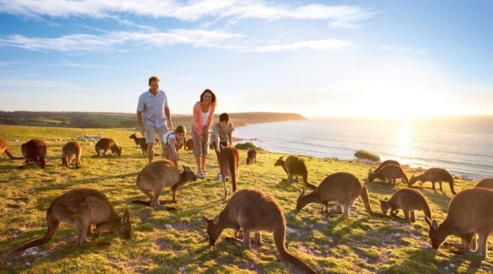 Kangaroo Island travel tips