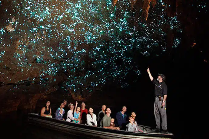 Glow worm caves in Australia