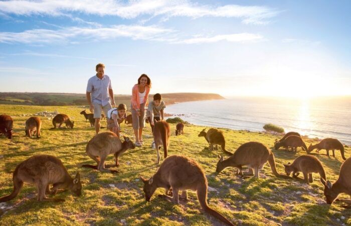 Kangaroo Island travel tips