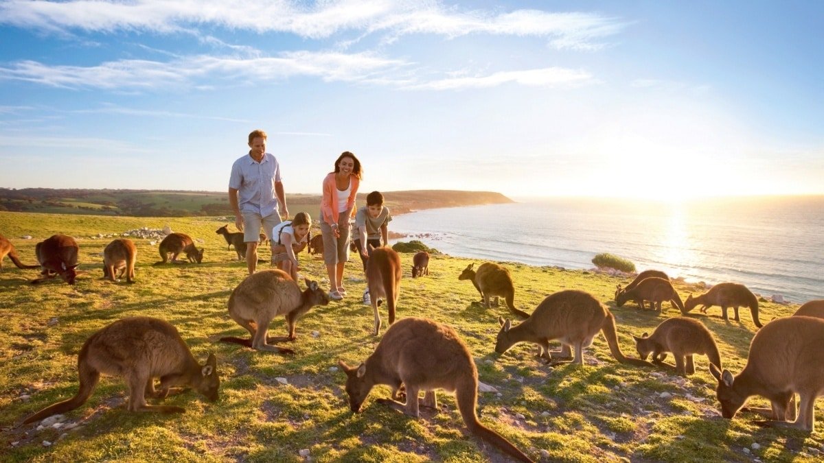Kangaroo Island travel tips