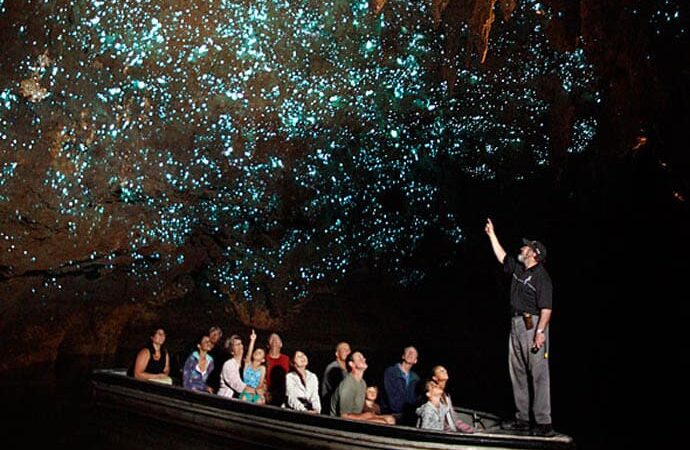 Glow worm caves in Australia