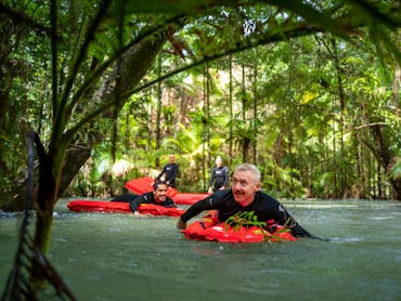 Australian rainforest experiences