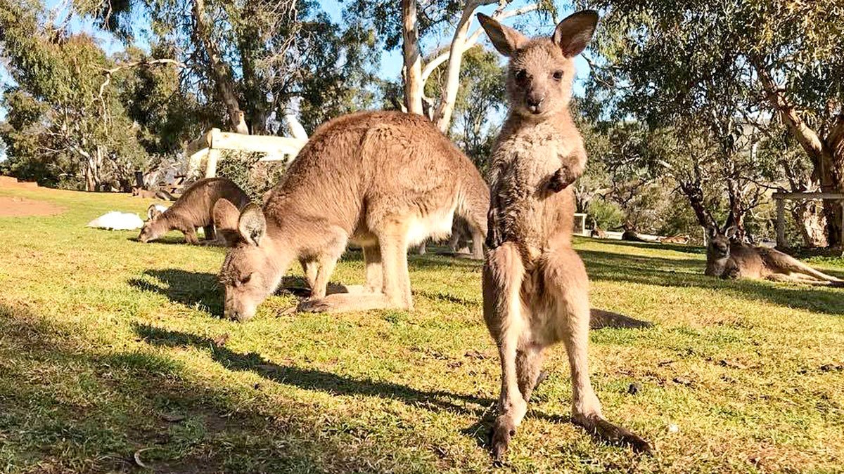 Tasmanian wilderness tours