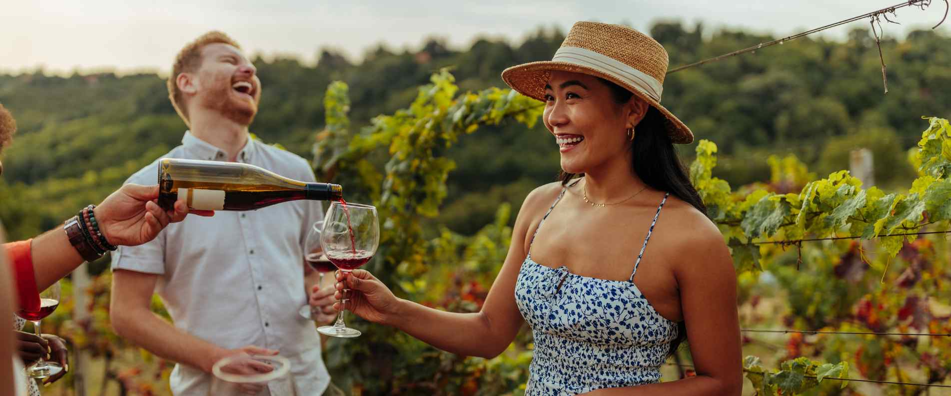 Hunter Valley wine tours