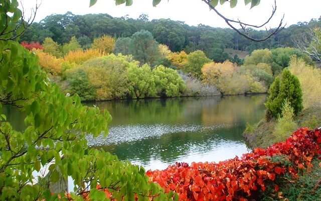 Mount Lofty Botanic Garden in Adelaide Hills