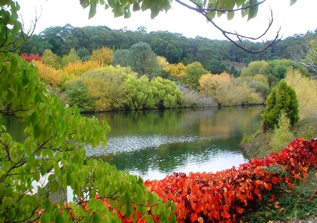 Mount Lofty Botanic Garden in Adelaide Hills