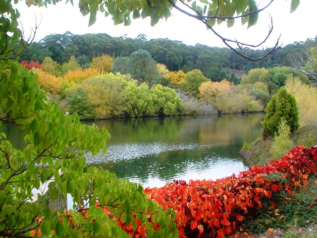 Mount Lofty Botanic Garden in Adelaide Hills