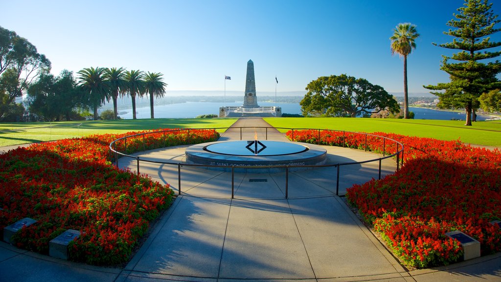 Kings Park and Botanic Garden in Perth