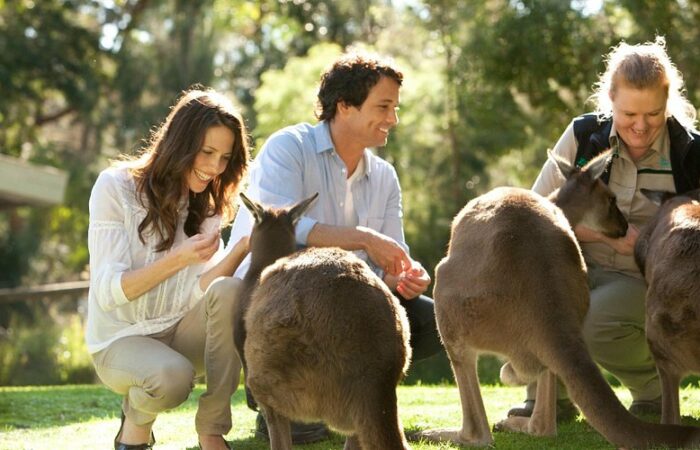 Healesville Sanctuary in Victoria