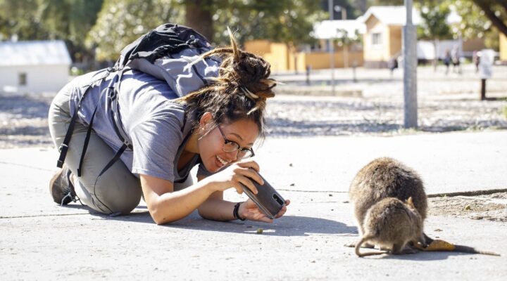 Rottnest Island’s quokkas