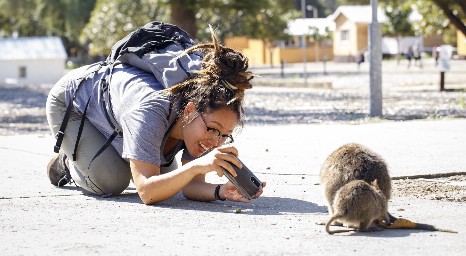 Rottnest Island’s quokkas
