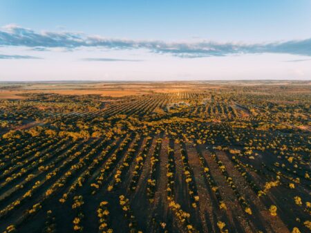 Carbon-neutral initiatives in Australia