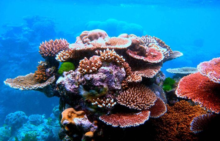 Australian marine parks