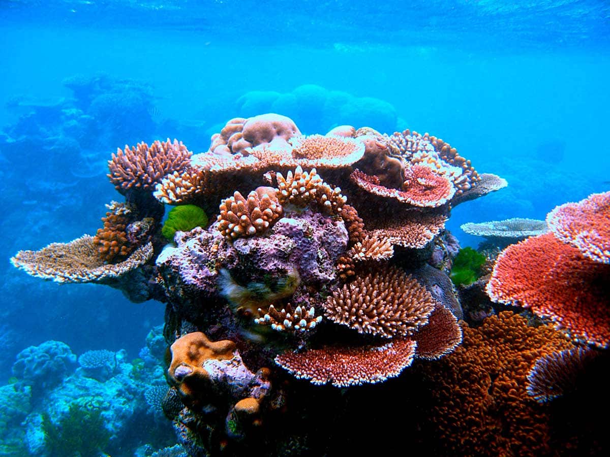 Australian marine parks