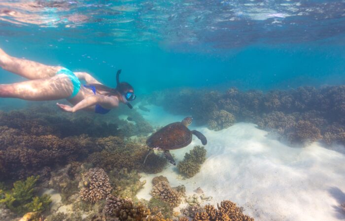 Ningaloo Reef snorkeling spots