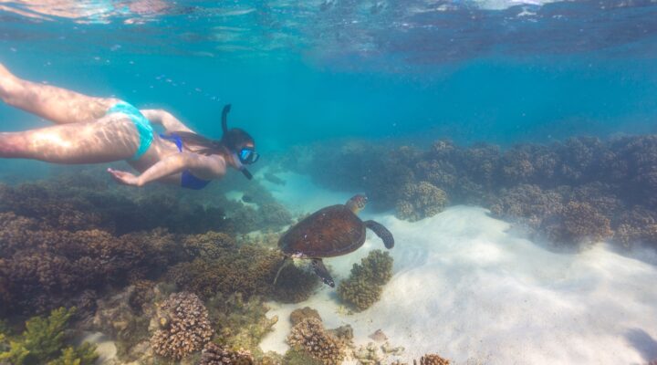 Ningaloo Reef snorkeling spots