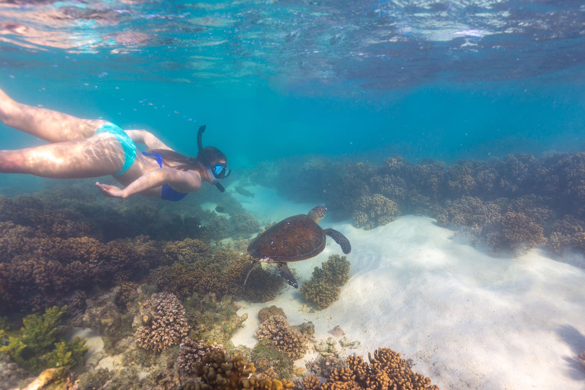 Ningaloo Reef snorkeling spots