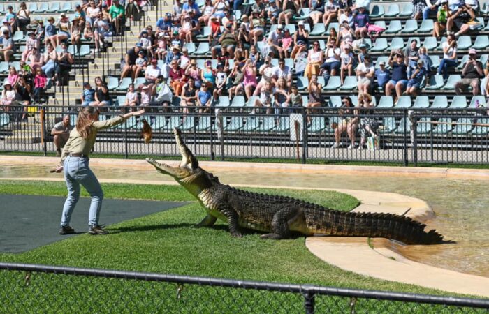 Australia Zoo wildlife shows