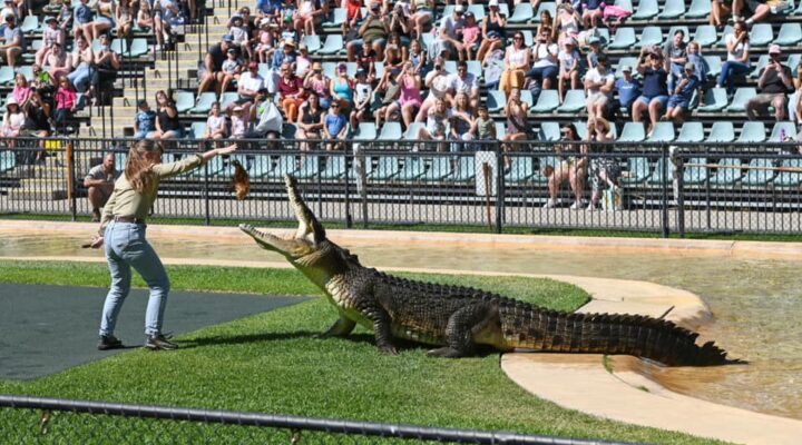 Australia Zoo wildlife shows
