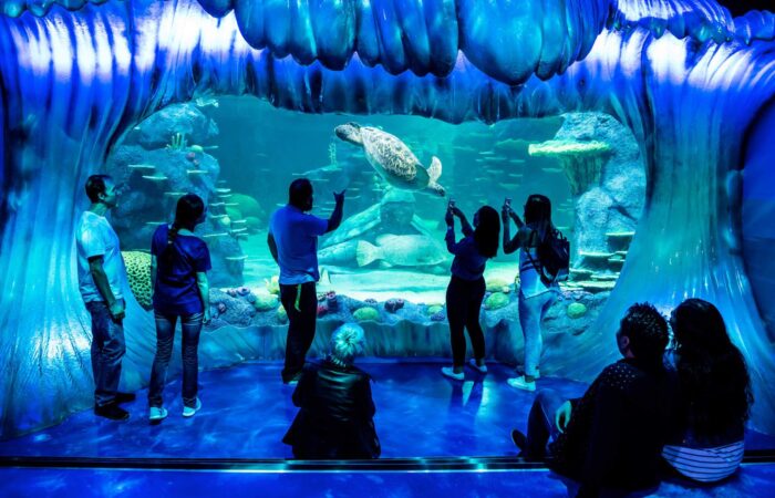 Darling Harbour activities