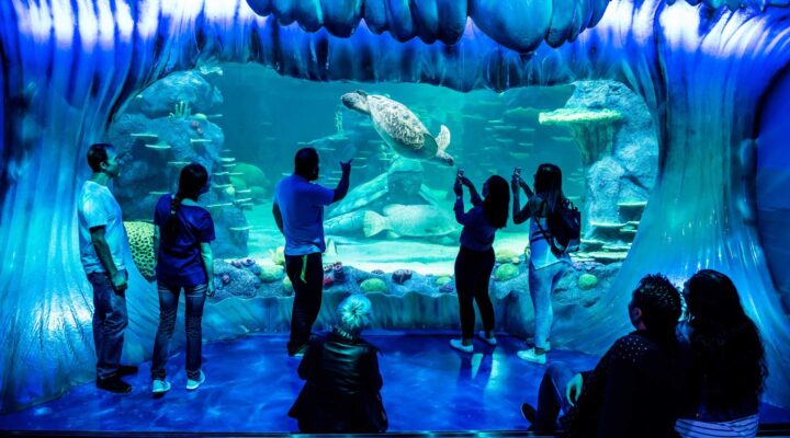 Darling Harbour activities