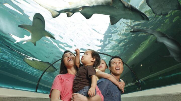 Family-friendly cities in Australia