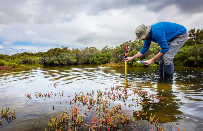 Wetland conservation in Australia