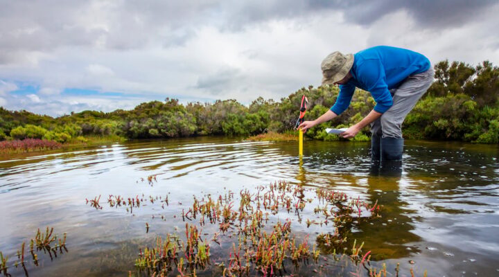 Wetland conservation in Australia