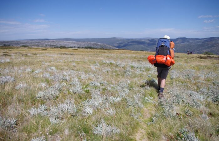 Australian Alps walking tracks