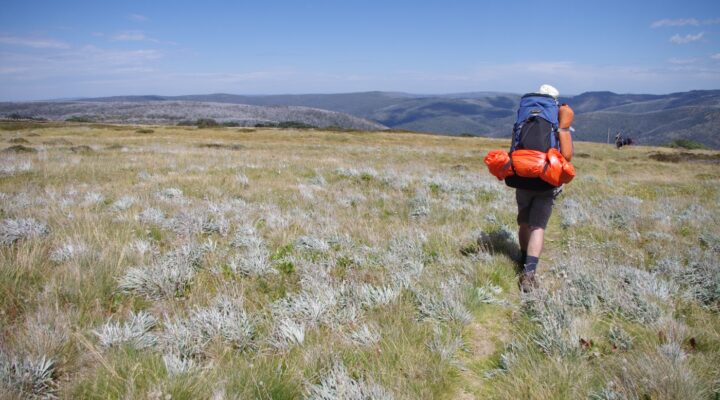 Australian Alps walking tracks