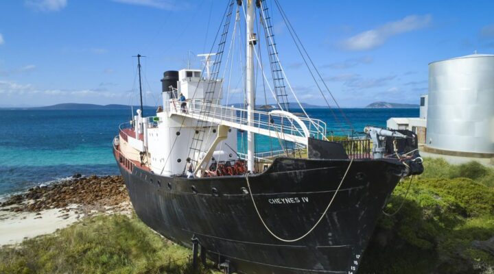 Albany’s Historic Whaling Station tours