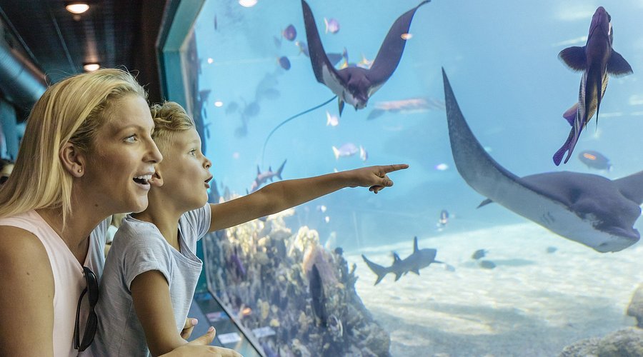 Sea World Gold Coas