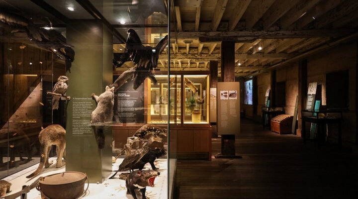 Tasmanian Museum and Art Gallery