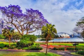 Royal Botanic Gardens Sydney