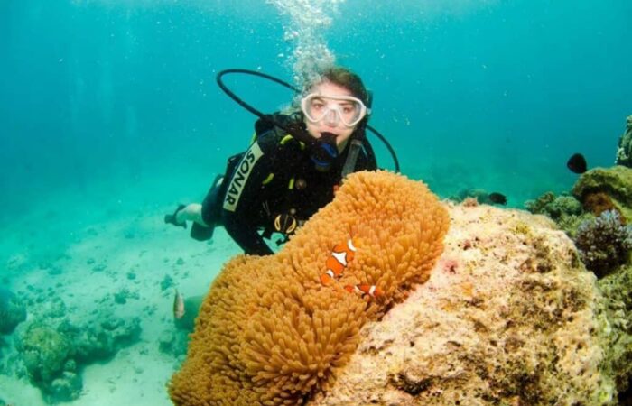 Coral reef conservation in Australia