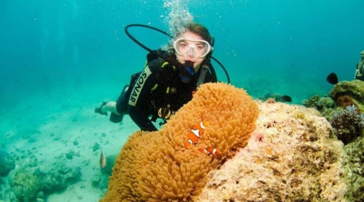 Coral reef conservation in Australia
