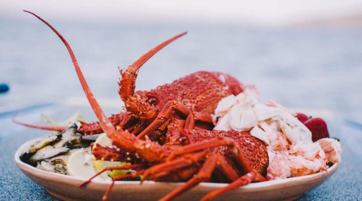 Fresh seafood in Australia