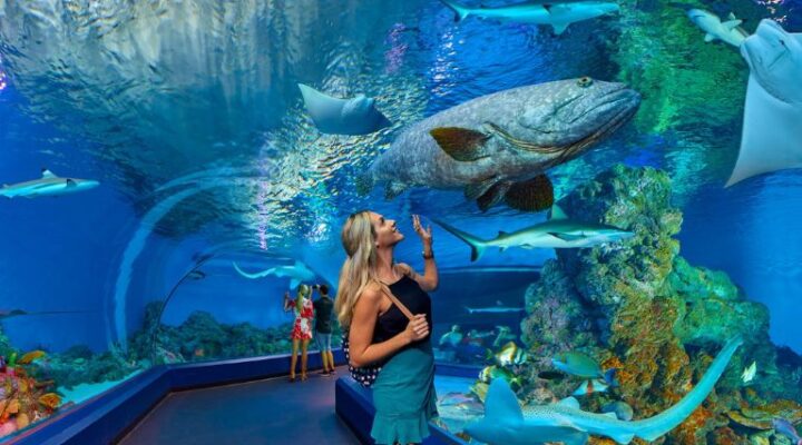 Best zoos and aquariums in Australia
