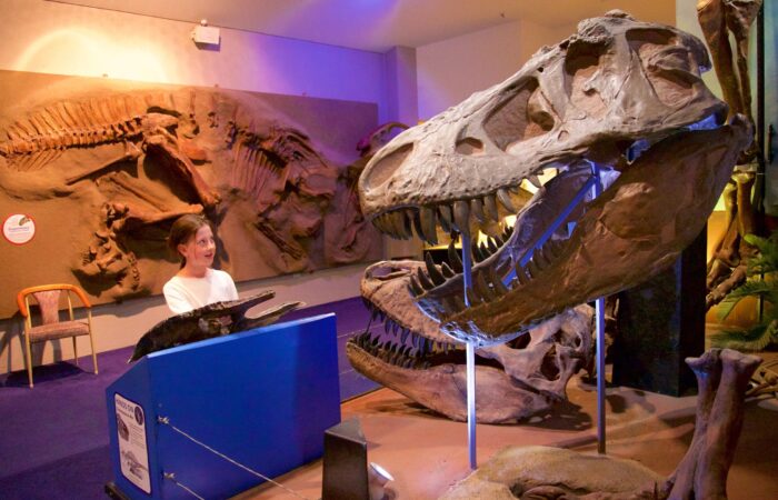 Canberra’s National Dinosaur Museum