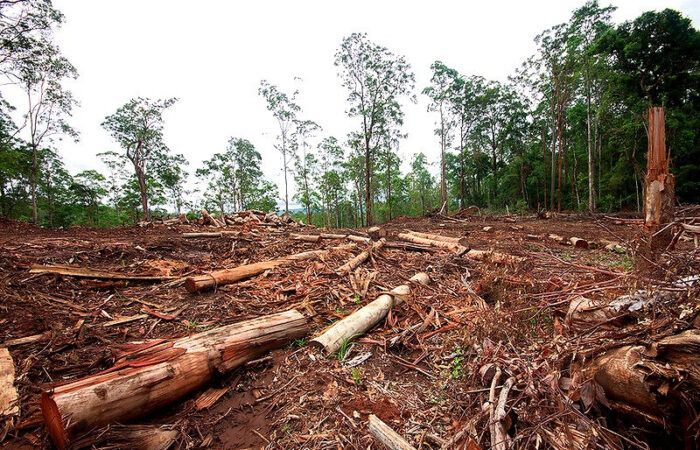 Deforestation in Australia
