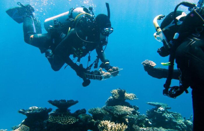 Australia’s coral reef protection efforts