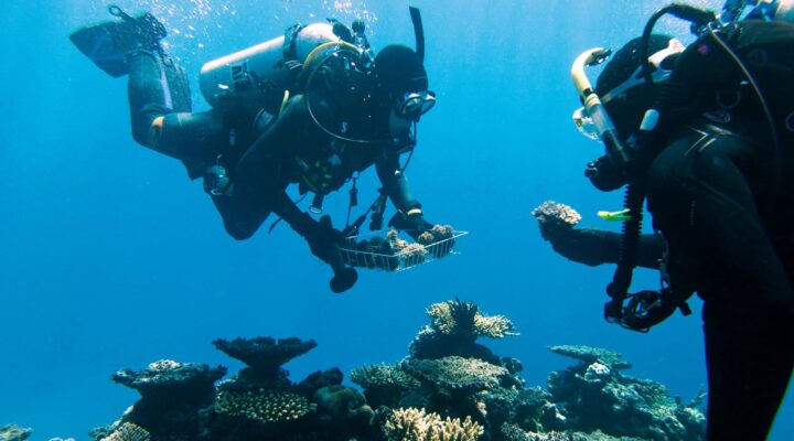 Australia’s coral reef protection efforts