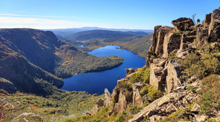 Wildlife in Cradle Mountain-Lake St Clair National Park