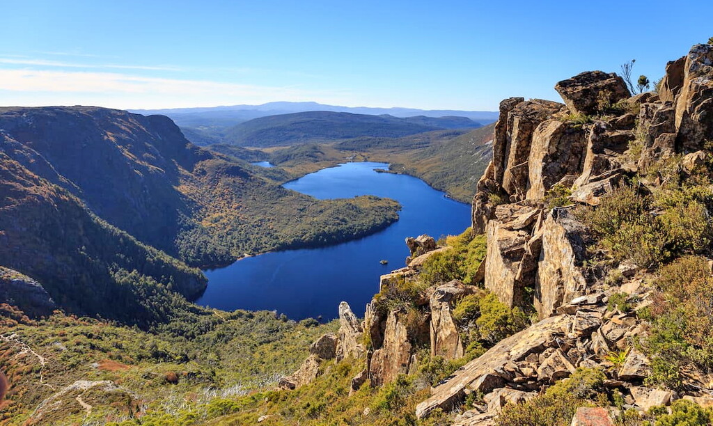 Wildlife in Cradle Mountain-Lake St Clair National Park