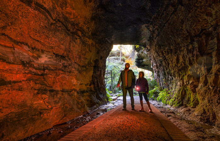 Glow worm tunnels in Lithgow