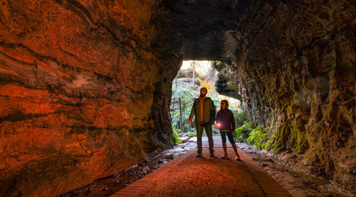 Glow worm tunnels in Lithgow